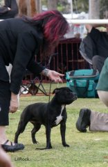 Holley in line up at Newcastle 2010