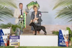 API 2025 Group 2nd - Handled by Jody Davis