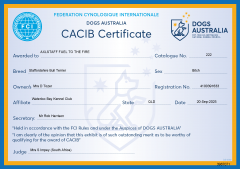 CACIB Certificate
