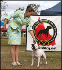 Thank you so much Suzie Ryan for showing Gomez on this day at our Stafford specialty show Qld, August 2014. He placed 4th both days under two UK judges,