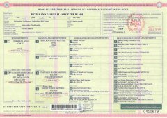 Mr Flash's pedigree and health tests